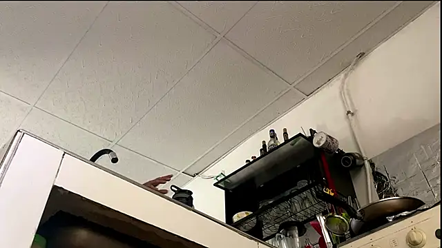 Abby Evanns1 online show from January 2026 02:34:02 PM