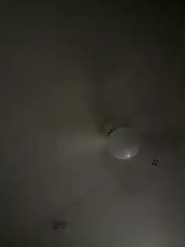 D13ON3L online show from November 2025 08:07:01 AM