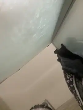 gatitalocahot online show from April 2026 07:18:01 PM