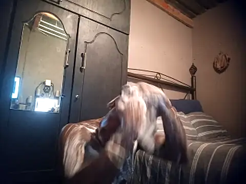 Pussylover911o online show from November 2025 02:43:01 AM