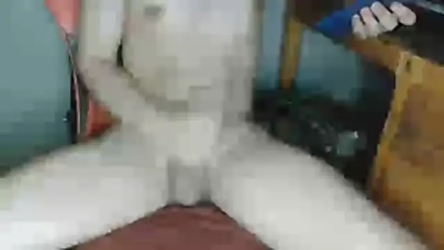 Snapshot of DevilDgrim chatting on May 2026 01:16:02 AM DevilDgrim online show from May 2026 01:16:02 AM