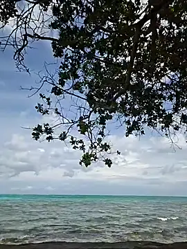 Trissa Benson online show from October 2025 06:04:01 PM