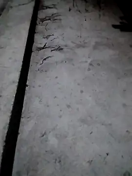 Snapshot of rickkis2k chatting on December 2025 09:42:02 PM rickkis2k online show from December 2025 09:42:02 PM