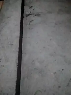 Snapshot of rickkis2k chatting on December 2025 10:14:02 PM rickkis2k online show from December 2025 10:14:02 PM