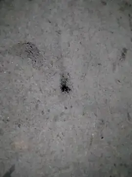 rickkis2k online show from December 2025 11:05:02 PM