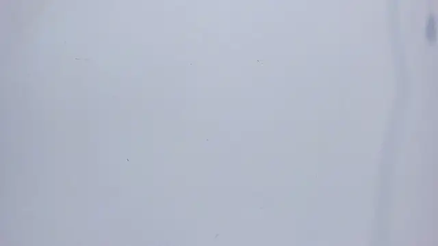 mirandaduboiss online show from April 2026 05:06:02 PM