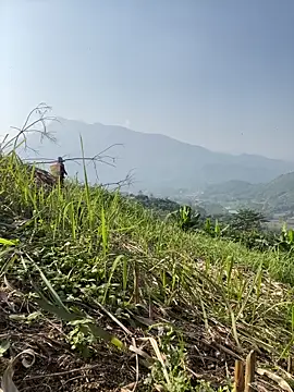 Irin jo online show from November 2025 06:45:02 AM