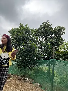 Irin jo online show from February 2026 03:16:01 AM