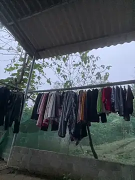 Irin jo online show from March 2026 11:21:01 PM