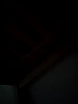 bebeeecitahot33 online show from February 2026 07:41:02 AM