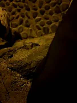 Rico1 1 online show from November 2025 09:40:01 PM