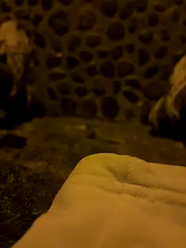 Rico1 1 online show from November 2025 10:45:01 PM