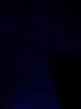 Snapshot of alfarabisami chatting on June 2026 09:05:02 PM alfarabisami online show from June 2026 09:05:02 PM