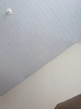 Morenodotado0 online show from February 2026 03:35:02 PM