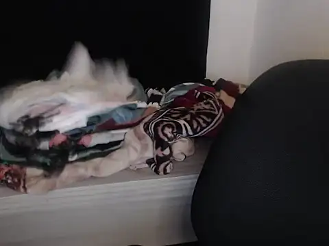 Negritatata online show from November 2025 11:10:01 AM