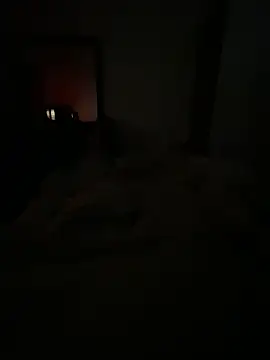 Snapshot of llllllllIIIll chatting on February 2026 04:43:01 AM llllllllIIIll online show from February 2026 04:43:01 AM