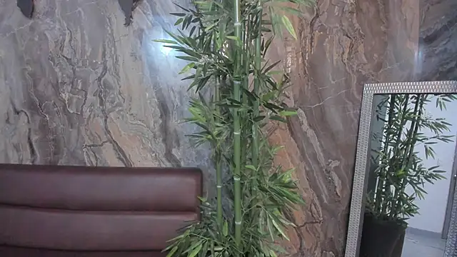 sydney miller  online show from November 2025 11:30:01 PM