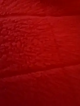 kendra666 online show from October 2025 06:20:02 PM