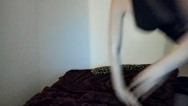 Blueskynicci online show from November 2025 04:54:01 PM