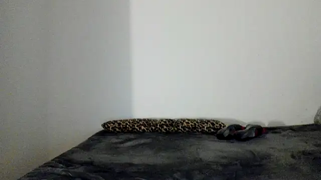 Blueskynicci online show from November 2025 06:56:02 PM