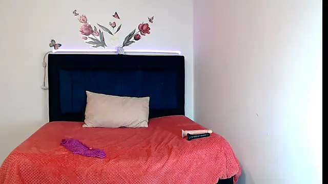 BRYXS1 online show from February 2026 07:26:01 PM