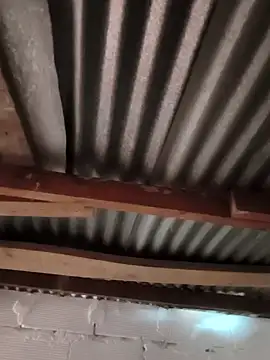 Catalina Bairon online show from November 2025 06:08:01 PM