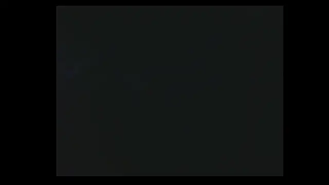 LissyM online show from February 2026 07:37:01 PM