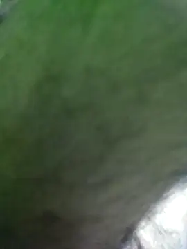 Morbosnif online show from January 2026 09:30:01 PM