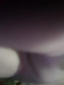 Snapshot of Morbosnif chatting on November 2025 06:29:01 AM Morbosnif online show from November 2025 06:29:01 AM