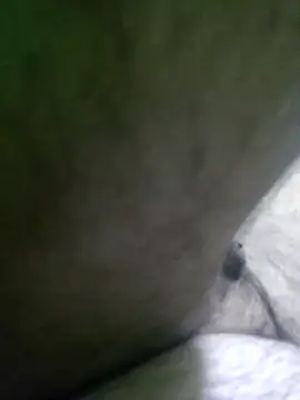 Morbosnif online show from December 2025 03:57:02 PM