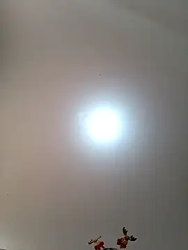 Snapshot of Lunatemptress4 chatting on December 2025 01:23:01 PM Lunatemptress4 online show from December 2025 01:23:01 PM