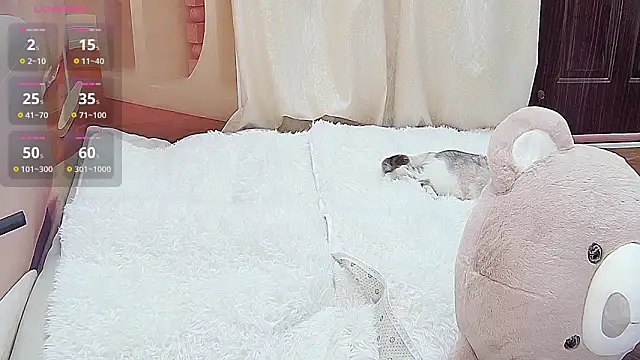 Dinan-y online show from January 2026 01:37:02 PM