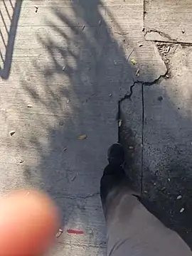 mbrc35 online show from April 2026 01:26:02 PM