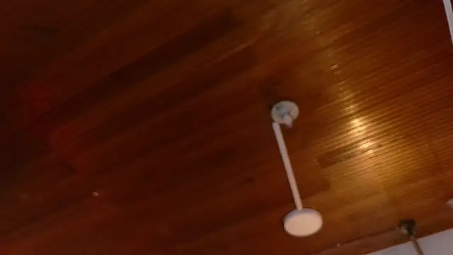 melissa  dolce online show from March 2026 03:28:02 AM