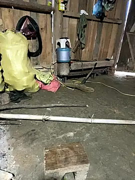 nachi-baby online show from December 2025 10:06:01 AM