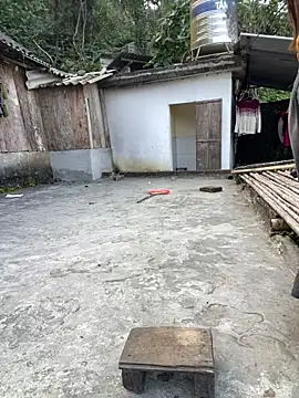 nachi-baby online show from December 2025 08:42:02 AM