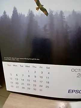 Snapshot of Kolkatacock06 chatting on October 2025 02:05:01 PM Kolkatacock06 online show from October 2025 02:05:01 PM