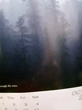 Snapshot of Kolkatacock06 chatting on October 2025 06:08:01 PM Kolkatacock06 online show from October 2025 06:08:01 PM