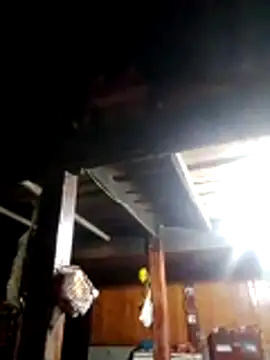 TRIEUTRIEU20 online show from March 2026 10:44:01 PM