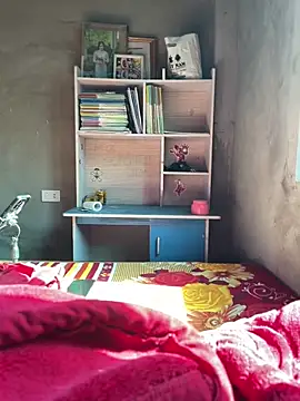 Star fruit online show from November 2025 04:13:01 AM