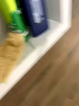 bfelipedasilva online show from November 2025 01:15:02 AM