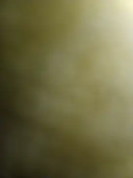 Snapshot of Josenav44 chatting on November 2025 01:31:02 AM Josenav44 online show from November 2025 01:31:02 AM