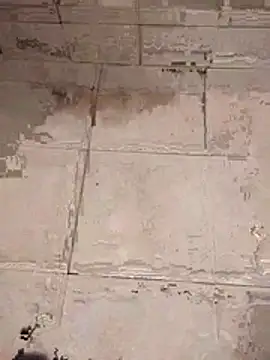 Andres  00 online show from March 2026 01:56:01 PM