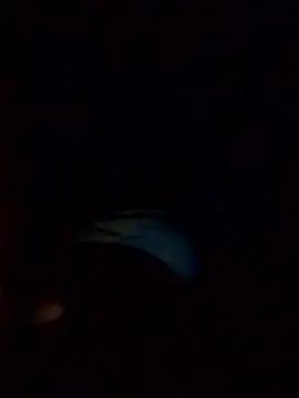 Poonam12A online show from February 2026 07:54:02 PM