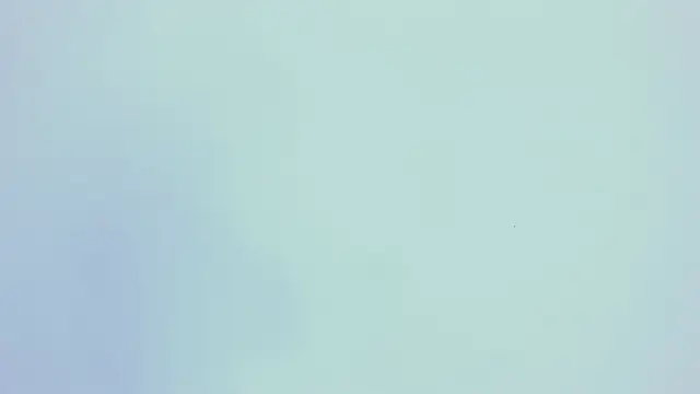 PariisTaylor online show from October 2025 07:46:02 PM