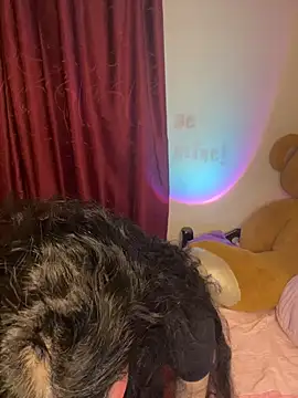 wetbyAlice online show from February 2026 12:51:02 AM