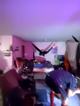 Fuckboyguyman online show from March 2026 08:36:02 AM