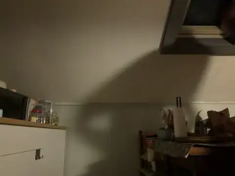 davi73d online show from December 2025 03:02:01 AM