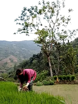 Noelle-e online show from April 2026 10:41:02 AM