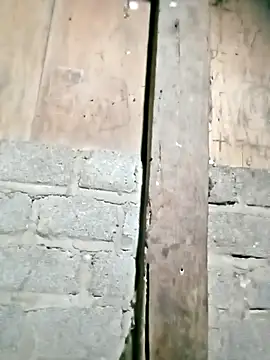 Noelle-e online show from February 2026 11:23:01 AM